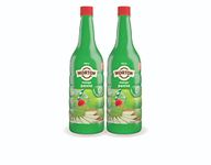 Morton Mango Panna | Made of Fresh Green Mango & 100% Fruits | Summer Drink | Rich In Flavour | Instant Refreshing Drink For Summer | Mango Panna 750ml (Pack of 2)