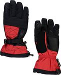 Spyder Active Sports Men's Overweb Gore-TEX Ski Glove, Volcano, Small