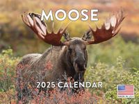 Moose Cale