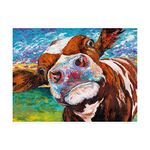 Trademark Fine Art Curious Cow I by Carolee Vitaletti, 35x47