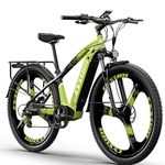 cysum Speedy Electric Bike, 29'' E-Mountain Bike with 48v 672Wh Lithium Battery, Range 100 km, Torque 75 Nm, 25 km/h, Hydraulic Disc Brake,E-MTB E-bike for Adults Men Women (Green)