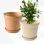 Eha Set of 2 Earth-Friendly Aura 8 Inch pots and Planters | Bamboo Based | UV Protected | for Indoor, Home Decor, Outdoor, Balcony & Garden | Sand-Tortilla