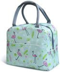 Funeiko Insulated Lunch Bag for Office Men, Women & Kids, Canvas Tiffin Bag for School, Picnic, Travel Carry Lunch Bag