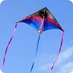 ORGCLDKT-Rainbow Cruiser Kite, Kite