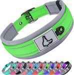 Joytale Dog Collar for Small Dogs, Neoprene Padded Small Dog Collar, Reflective Wide Pet Collars with Durable Metal Belt Buckle, Adjustable Heavy Duty Nylon Dog Collar, Green, S