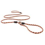 EzyDog dog leash