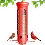 Yarbirder Squirrel Proof Metal Bird