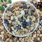 YISZM 5lbs Natural River Rocks for 