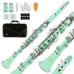 EASTROCK Clarinet Bb Flat 17 Nickel Keys Beginner Clarinet for Student with 2 Barrels,Hard Clarinet Cas and Clarinet Cleaning Kit(Grenn Clarinet)