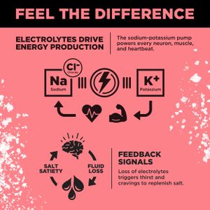 LMNT Raspberry Salt Electrolyte Drink Mix – Hydration Supplement