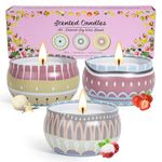 Candles 3 Pack,Scented Candles Gift Set Ice Cream,Strawberry Lychee Gift for Women Small Tin Candles Home Fragrance Birthday Gift for Mother, Aromatherapy Bath Travel Tin Candle 60H Burning Time