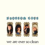 We Are Ever So Clean - Remastered Edition [VINYL]