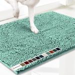 Muddy Mat® AS-SEEN-ON-TV Highly Absorbent Microfiber Door Mat and Pet Rug, Non Slip Thick Washable Area and Bath Mat Soft Chenille for Kitchen Bedroom Indoor and Outdoor - Seafoam Green Large 35"X24"