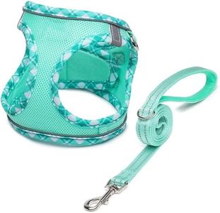 Roolisspa Dog Harness for Small Dogs No Pull Breathable Mesh Vest Adjustable Leashes Set for Puppy and Cat