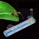 Ant House Acrylic Ant Breeding House House Formicarium Display Box Transparent Ant Feeding Living House (Blue)