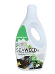 Naturegoon 450 ml Concentrate Liquid Seaweed Fertilizer for Plants| Essential for Indoor & Outdoor Plant Growth| Flowering |Gardening and Agriculture|Keeps Plants Healthy and Greenish (450 ml)