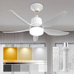Socket Fan Light with Remote, 28 In