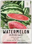 Seed Needs, Crimson Sweet Watermelon Seeds - 100 Heirloom Seeds for Planting Citrullus lanatus - Non-GMO & Untreated 20 to 25 Pound Fruits with Dark Green Stripes & Sweet Red Flesh (1 Pack)