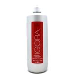 Schwarzkopf Igora Royal 6% 20 Vol. Colorist's Color & Care Developer 33.8 oz (1 Liter)