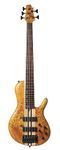 Cort Electric Bass Guitar Artisan Series 5 string with Case A5 Plus SC AOP