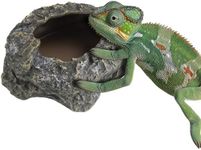 Navaris Reptile Feeder - For Tortoi