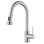 Decaura WELS Kitchen Tap Pull Out 2