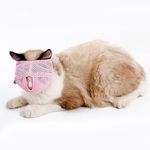 Cat Muzzle for Grooming, Cat Breathable Mesh Muzzles Cat Mouth Cover for Cats Kittens Prevent Biting Chewing Grooming (Pink)