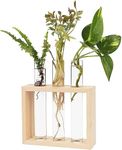 Adiy |13K| Wall Hanging Glass Planter Propagation Station Modern Test Tube Flower Bud Vase Wood Stand Rack Hydroponic Plants Office Home Decoration, Gift Plant Lover (Pack of 1)