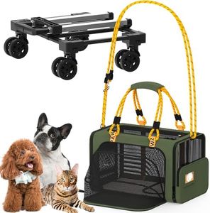 PAWZIDEA E