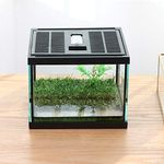 crapelles Pac Frogs Glass Terrarium Feeding kit Tank, 7.8x7.8x5.9'' for Small Amphibians, Insect, Horned Frogs, Waterweed Prairie Style Habitat, with Green Artificial Turf Pad (excluding Animals)