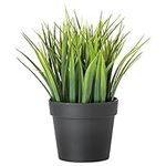 Ikea Artificial Potted Plant, Wheat