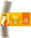 GIGIL Treat You pet Like a King - 100% Natural Deer Split Antlers for Large Dogs - Premium Elk Antlers - Long Lasting Dog Chew Toy - Naturally Shed and Organic Antlers for Dogs - Size L