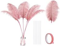 Holmgren Ostrich Feathers Bulk - 20Pcs Making Kit 22 Inch Large Ostrich Feathers for Vase, Floral Arrangement, Wedding Party Centerpieces and Home Decorations