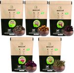 BRALCON Organic Raw Reetha, Amla, Shikakai, bhringraj, Hibiscus Combo- 500g(100g x 5 Pack)|100% Natural Whole Dried Shikakai, Reetha Nuts, Amla | Hair growth | Hair & Skin Care | Pure Raw form