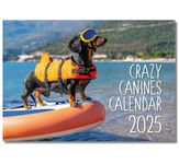 2025 A4 Crazy Cannines. One Month to View. A3 when open. Wall Calendar by Absolutely Yours.