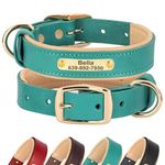 Didog Personalized Dog Collar with Name Plate, Custom Dog Collar with Name and Phone Number, Padded Genuine Leather Dog Collars for Medium Dogs, Green, M