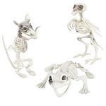 I LOVE FANCY DRESS HALLOWEEN SKELETON ANIMALS - PACK OF 3 SKELETAL ANIMAL PROPS - BIRD, RAT AND FROG - SCARY DECORATIONS FOR HALLOWEEN PARTIES