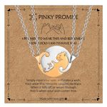 Couple Gifts for Boyfriend Girlfriend with Pinky Promise Card, 2 PCS Couple Necklaces for Him and Her | Matching Cat Puzzle Pendant Valentines Day Gifts Birthday Christmas Gifts, Silver + Gold