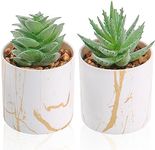 Der Rose Set of 2 Succulents Plants Artificial Mini Fake Succulents Plants for Home Office Desk Accessories for Women