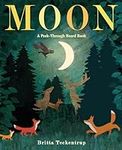 Moon: A Peek-Through Board Book