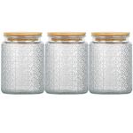 Danmu Art Tea Coffee Sugar Canisters Sets Glass Jars with Lids Set of 3 Glass Airtight Storage Jars with Bamboo Lids (Pattern B, 700ml)