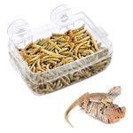 Reptile Feeder, Amphibians Reptiles Anti-escape Feeder Transparent Worm Feeding Basin with Suction Cup for Gecko Snakes Chameleon Iguana Lizard