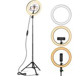 Ring Light 10" with Tripod Stand & Phone Holder for YouTube Video, Desktop Camera Led Ring Light for Streaming, Makeup, Selfie Photography Compatible with iPhone Android