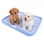 HASTHIP® Dog Toilet Potty Tray, Plastic Dog Poop Tray Puppy Pee Pads Training Toilet Deck for Small Medium Dogs, Drawer Flat Panel & Easy to Clean - 65 x 50CM