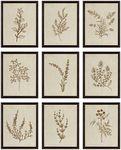 97 Decor Botanical Wall Art - Vinta