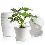 T4U 7 Inch Flower Pots 10-Pack - Small Plastic Planter with Drainage Hole and Saucer, Decorative Nursery Plant Pot Bulk for African Violet, Snake Plant, Aloe and All House Plants Indoor (White)