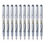 Bic Fountain Pen