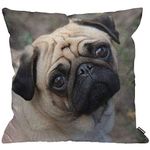 HGOD DESIGNS Cushion Cover Pug Dog,Throw Pillow Case Home Decorative for Men/Women Living Room Bedroom Sofa Chair 18X18 Inch Pillowcase 45X45cm