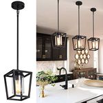 SGLfarmty 1 Pack Pendant Lighting for Kitchen Island, Cage Hanging Light Fixtures, Black Pendant Lights with Durable Glass Shade for Dining Room & Kitchen, Black Lights