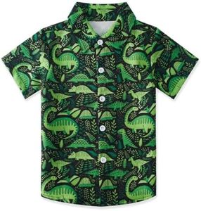 uideazone 2 Years Little Boys Kids Green Dinosaur Hawaiian Shirt Novelty Button Down Collar Shirts Tops Silky Blouses Party Holiday Clothes 2-3T